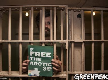 Free the Arctic 30