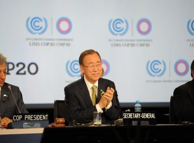 COP20