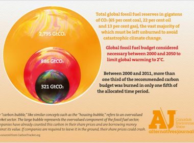 40n4_Divestment_Bubble_INFOGRAPHIC_sm