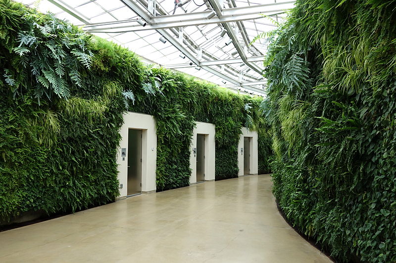 File:Green wall - Longwood Gardens - DSC01042.JPG