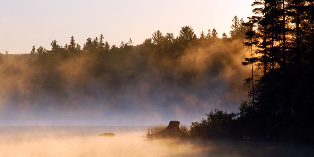 Alg Park mist © Pavel Cheiko - Fotolia