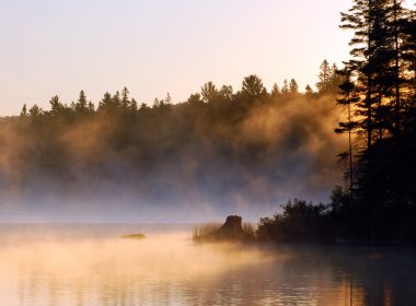 Alg Park mist © Pavel Cheiko - Fotolia