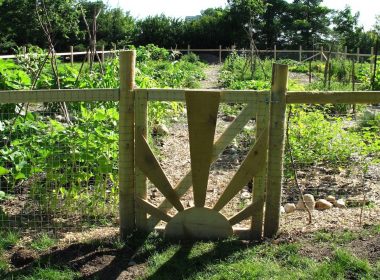 The Guelph Street Community Garden