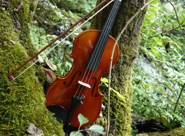 Fiddle4Blog_banner28685544