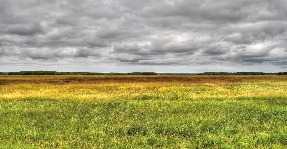 The Tantramar salt marshes of New Brunswick