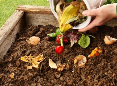 iStock_16223881_compost_jml5571