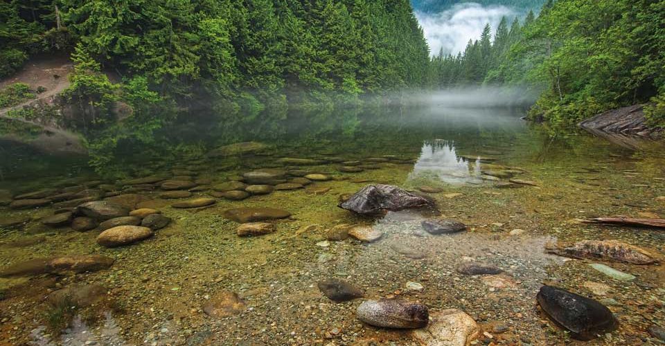 James_Wheeler_BC_Fog_River