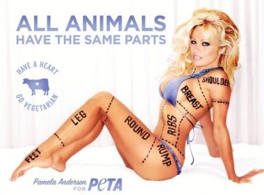 PETA1