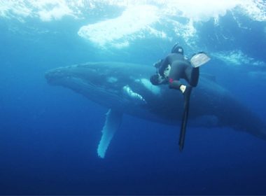 Rob zooming in on a humpback whale (Photo by Rob Barrel)