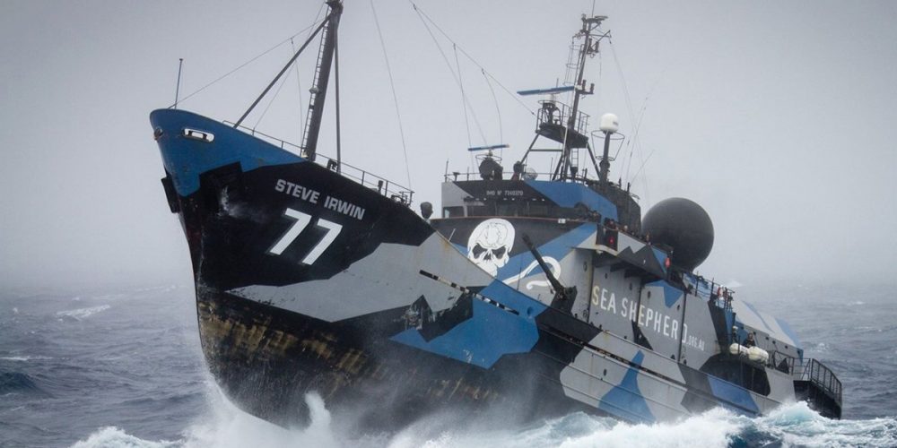 The Sea Shepherd