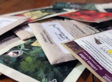 Seed packets