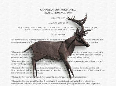 Stag on the Canadian Environmental Protection Act