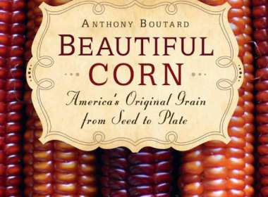 Beautiful Corn book review A\J AlternativesJournal.ca