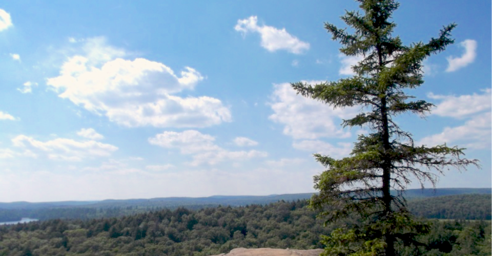 Algonquin Park. Photo by Dan Beare.