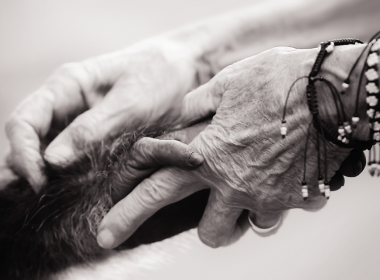 Mercy by Jo-Anne McArthur.