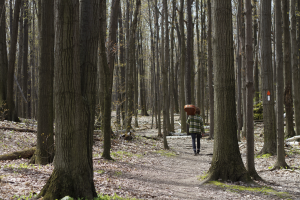 Music for a Greenbelt