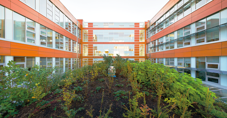 UBC green roof by Don Earhardt in A\J AlternativesJournal.ca